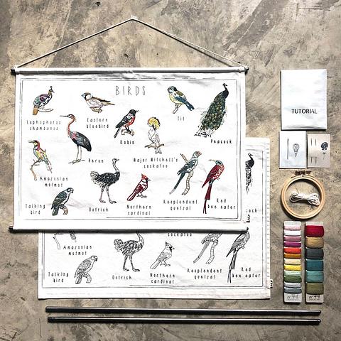 School Poster Kit / Birds